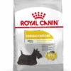 ROYAL CANIN® Mini Dermacomfort Adult Dry Dog Food -Danish Design || Scruffs || Great&Small Sales uclqrowtioubwzormnrb
