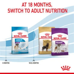 ROYAL CANIN® Giant Junior Puppy Dry Food 18 ROYAL CANIN® Giant Junior Puppy Dry Food -Danish Design || Scruffs || Great&Small Sales ucneptzi0c6foxfexf9q