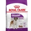 ROYAL CANIN® Giant Adult Dry Dog Food -Danish Design || Scruffs || Great&Small Sales uqajrnr3r2aapiyalign