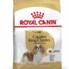 ROYAL CANINĀ® Cavalier King Charles Adult Dry Dog Food 1 ROYAL CANINĀ® Cavalier King Charles Adult Dry Dog Food -Danish Design || Scruffs || Great&Small Sales uqjayalc6tb06herctuv