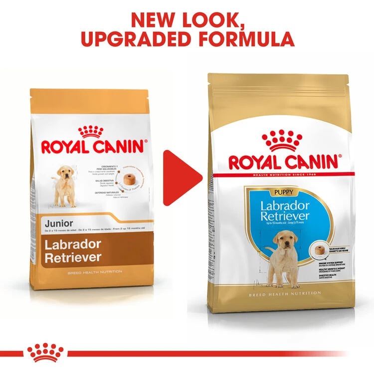 ROYAL CANIN® Labrador Retriever Puppy Dry Food 10 ROYAL CANIN® Labrador Retriever Puppy Dry Food - Image 8