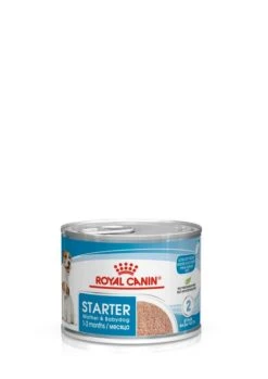 ROYAL CANIN® Starter Mother & Babydog Adult And Puppy Wet Food 23 ROYAL CANIN® Starter Mother & Babydog Adult And Puppy Wet Food -Danish Design || Scruffs || Great&Small Sales vlnlbhukitysuxfaspnf
