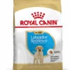 ROYAL CANIN® Labrador Retriever Puppy Dry Food 2 ROYAL CANIN® Labrador Retriever Puppy Dry Food -Danish Design || Scruffs || Great&Small Sales wakoes9u7znthjefyjzm