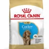 ROYAL CANIN® Cocker Puppy Dry Food -Danish Design || Scruffs || Great&Small Sales wifxdyp9r34g0gh3b1sb