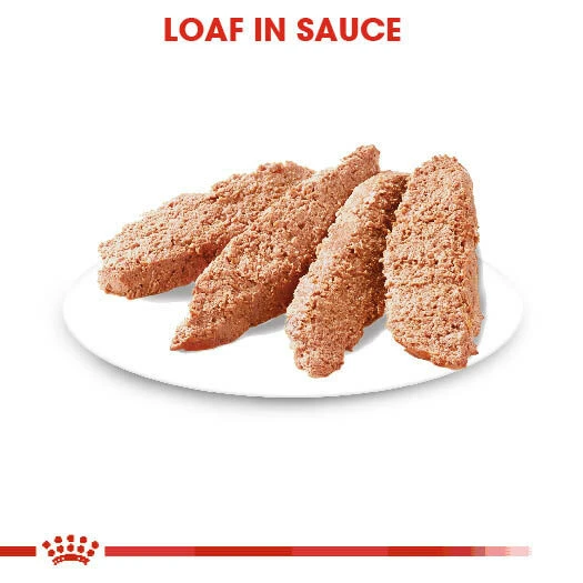 ROYAL CANIN® Digestive Care Wet Pouches All Breeds Adult Dog Food 5 ROYAL CANIN® Digestive Care Wet Pouches All Breeds Adult Dog Food - Image 4