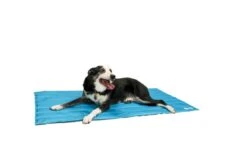 Animate Cooling Mat In Blue 7 Animate Cooling Mat In Blue -Danish Design || Scruffs || Great&Small Sales xlarge dog main