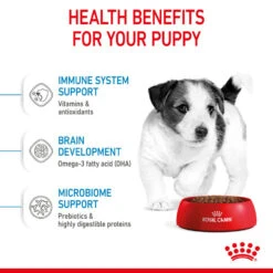 ROYAL CANIN® Mini Puppy Dry Dog Food 17 ROYAL CANIN® Mini Puppy Dry Dog Food -Danish Design || Scruffs || Great&Small Sales xquismlxdyt0fvatl6nf