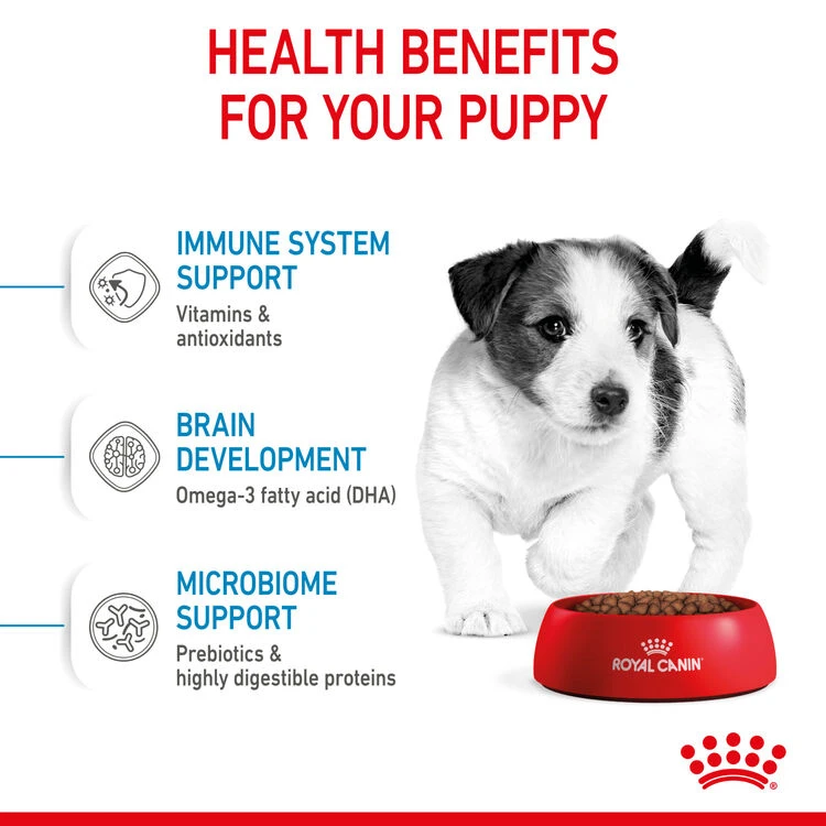 ROYAL CANIN® Mini Puppy Dry Dog Food 8 ROYAL CANIN® Mini Puppy Dry Dog Food - Image 6