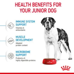 ROYAL CANIN® Giant Junior Puppy Dry Food 17 ROYAL CANIN® Giant Junior Puppy Dry Food -Danish Design || Scruffs || Great&Small Sales xsxv3qsz3akj36m8nnyc