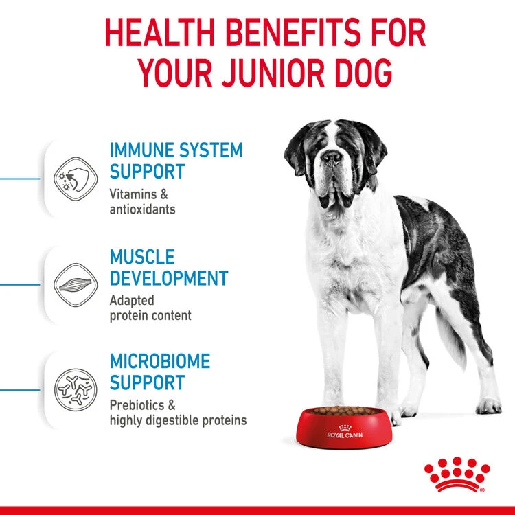 ROYAL CANIN® Giant Junior Puppy Dry Food 8 ROYAL CANIN® Giant Junior Puppy Dry Food - Image 6