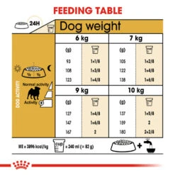 ROYAL CANIN® Pug Adult Dry Dog Food 16 ROYAL CANIN® Pug Adult Dry Dog Food -Danish Design || Scruffs || Great&Small Sales xvewy7bhpbuodliovxob