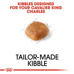 ROYAL CANIN® Cavalier King Charles Adult Dry Dog Food -Danish Design || Scruffs || Great&Small Sales ye4zdu1nm5nk4prcdsik