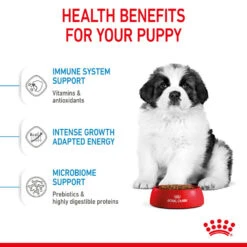 ROYAL CANIN® Giant Breeds Puppy Dry Food 17 ROYAL CANIN® Giant Breeds Puppy Dry Food -Danish Design || Scruffs || Great&Small Sales yejn4xry8ga9pvatbfnb