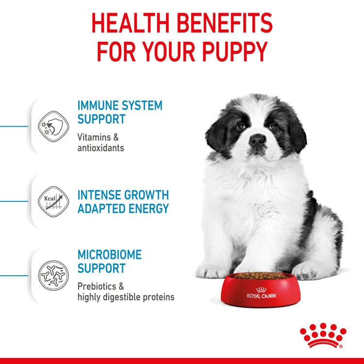 ROYAL CANIN® Giant Breeds Puppy Dry Food 8 ROYAL CANIN® Giant Breeds Puppy Dry Food - Image 6
