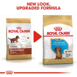 ROYAL CANIN® Dachshund Puppy Dry Food -Danish Design || Scruffs || Great&Small Sales yknkxd0zgwbyfadpaelp