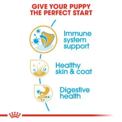 ROYAL CANIN® Shih Tzu Puppy Dry Food -Danish Design || Scruffs || Great&Small Sales yxvoygalevkcpixmpqr3