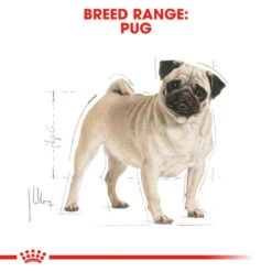 ROYAL CANIN® Pug Adult Dry Dog Food 12 ROYAL CANIN® Pug Adult Dry Dog Food -Danish Design || Scruffs || Great&Small Sales zqxhfpt94mds70satv4l