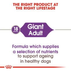 ROYAL CANIN® Giant Adult Dry Dog Food -Danish Design || Scruffs || Great&Small Sales zr4dupmg4px8ncskfktv
