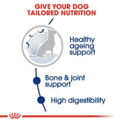 ROYAL CANIN® Maxi Large Breed Ageing 8+ Dry Dog Food 14 ROYAL CANIN® Maxi Large Breed Ageing 8+ Dry Dog Food -Danish Design || Scruffs || Great&Small Sales ztuy2yzv0tuh81ap32lt