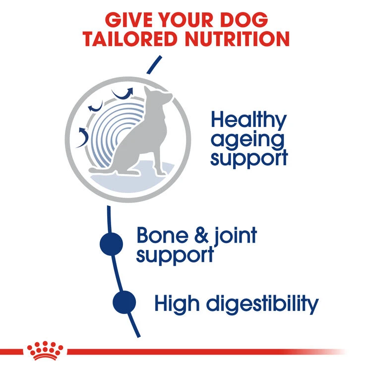 ROYAL CANIN® Maxi Large Breed Ageing 8+ Dry Dog Food 6 ROYAL CANIN® Maxi Large Breed Ageing 8+ Dry Dog Food - Image 4